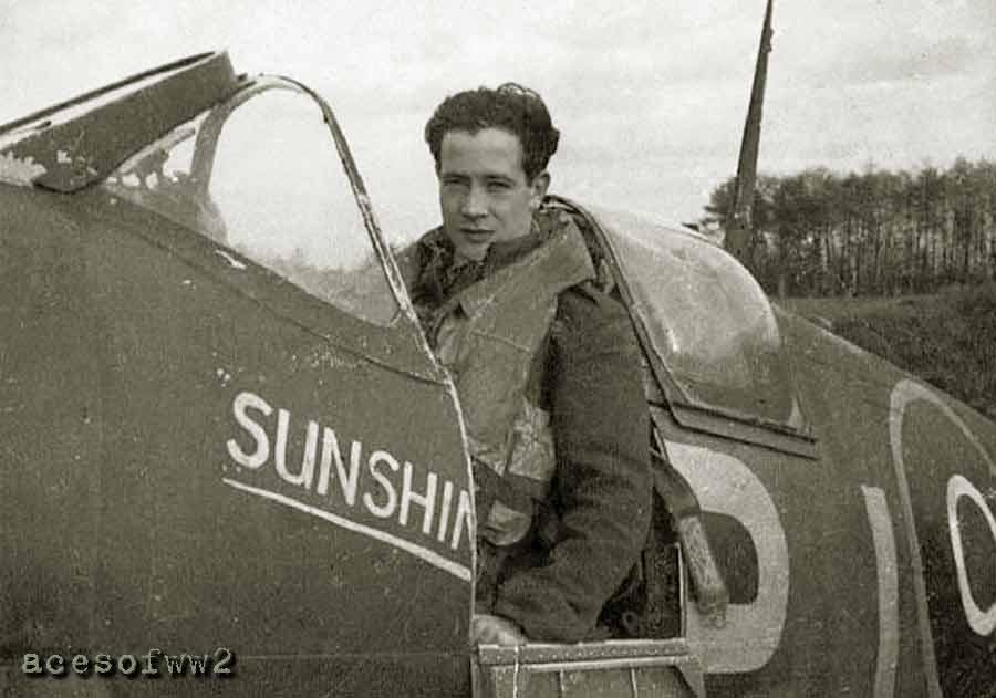 Lucky in his Spitfire