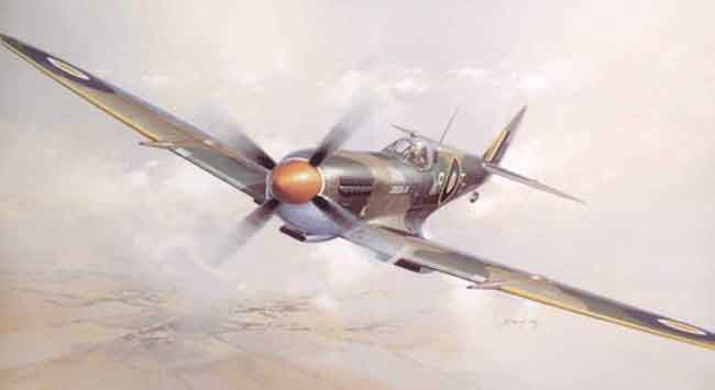 SAAF Spitfire by Darryl Legg