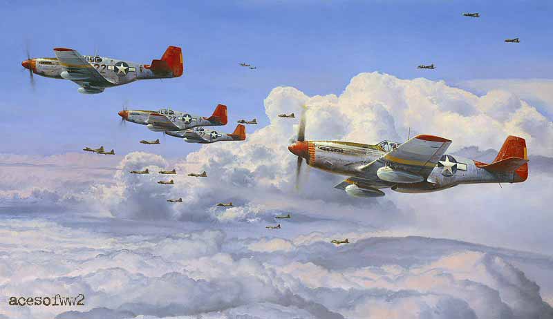 Fighting Red Tails by Robert Taylor